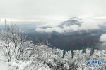 2018年的第一场雪 让山城的大地更美一些 - 重庆晨网