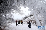 2018年的第一场雪 让山城的大地更美一些 - 重庆晨网