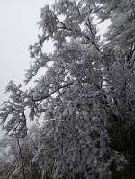 微信图片_20180106125833 - 重庆晨网