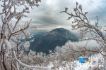 航拍瞿塘峡初雪 琼枝玉树景象壮美 - 新华网