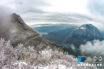 航拍瞿塘峡初雪 琼枝玉树景象壮美 - 新华网