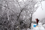 航拍瞿塘峡初雪 琼枝玉树景象壮美 - 新华网