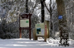 区县雪停了！是时候赏一波我大重庆雪景了 - 重庆晨网