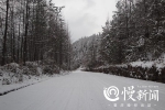 区县雪停了！是时候赏一波我大重庆雪景了 - 重庆晨网