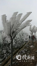 点赞！冰雪路上的“小黄人” - 重庆晨网