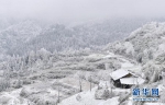 冬日美景：武隆车盘山穿上“雪衣” - 重庆晨网