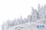 冬日美景：武隆车盘山穿上“雪衣” - 重庆晨网