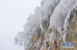 冬日美景：武隆车盘山穿上“雪衣” - 重庆晨网