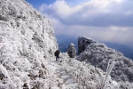 龙头山的雪，美成了童话！你舍得错过？ - 重庆晨网