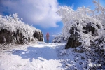 龙头山的雪，美成了童话！你舍得错过？ - 重庆晨网