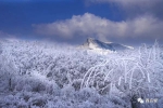 龙头山的雪，美成了童话！你舍得错过？ - 重庆晨网