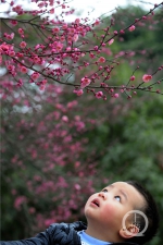 今日立春 花开正好 - 重庆晨网