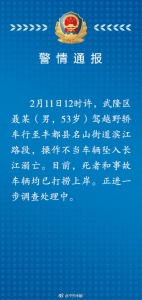 重庆一男子驾车坠入长江 不幸溺亡 - 重庆晨网