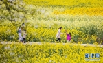 重庆“十二金钗”乡村旅游文化节31日启动 赏花品美食还有婚纱相亲会 - 重庆晨网