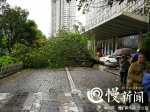 注意！积水严重 渝南分流道下穿道往巴南正交通管制 - 重庆晨网