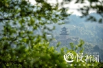 重庆珍档 | 揭秘云阳彭氏宗祠：隐匿山林的国宝，不凡的一百年 - 重庆晨网