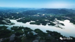 俯瞰梁平田园柚海，初夏风光美到人醉！ - 重庆晨网