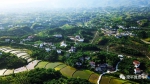 俯瞰梁平田园柚海，初夏风光美到人醉！ - 重庆晨网