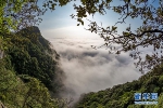 云海瀑布！雨后金佛山现绝美景观 - 重庆晨网