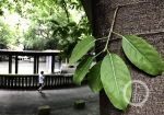 00e66896f575d7fe7b1590020ee80ae2.jpg - 重庆晨网