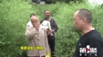 涪陵一座桥梁冲毁1个月村民出行难 政府派人勘察后却没下文 - 重庆晨网