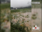 石柱遭暴雨袭击 多个乡镇受灾 - 重庆晨网