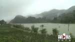 暴雨袭击武隆木水村 鱼虾跑光荷塘成河 - 重庆晨网