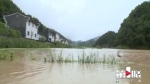 暴雨袭击武隆木水村 鱼虾跑光荷塘成河 - 重庆晨网