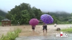 暴雨袭击武隆木水村 鱼虾跑光荷塘成河 - 重庆晨网