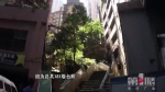 这坡梯坎被称神梯 外地游客常来打卡：有香港的感觉 - 重庆晨网