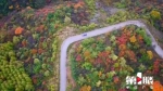 秋风打翻“调色板” 雪宝山变身“五彩山” - 重庆晨网