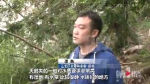 住手！嘉陵江两只黑天鹅“到访”，有渔船试图捕捉还有人投石惊吓 - 重庆晨网