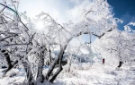 彩林与白雪共存， 绚烂秋景秒变冰雪童话世界 - 重庆晨网