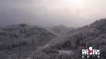 就问你美不美！奉节高山地区雪景怡人 - 重庆晨网