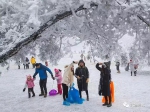 武隆仙女山被大雪覆盖，这才是冬季的正确打开方式！ - 重庆晨网