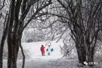 武隆仙女山被大雪覆盖，这才是冬季的正确打开方式！ - 重庆晨网