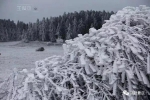 武隆仙女山被大雪覆盖，这才是冬季的正确打开方式！ - 重庆晨网