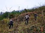 云阳一村民捡到近10斤重恐龙脊椎骨 - 重庆晨网