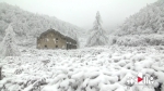 美不胜收！奉节高海拔地区喜提“高清”雪景 - 重庆晨网