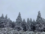 赏冰瀑、滑雪、泡温泉……周末就拣这条自驾路线，1.5小时飙拢 - 重庆晨网