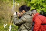 萌到犯规！重大虎溪校区黑天鹅宝宝刷屏，学生：黑二代后继有人 - 重庆晨网