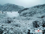 今天凌晨金佛山迎来立春后首场降雪，一起来隔屏赏景！ - 重庆晨网