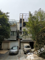 违建没拆却多出一排树遮人耳目？最后通牒：两日内必须拆完 - 重庆晨网