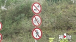 445660a61a571e9ab750357565646a93.png - 重庆晨网