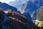 重庆有条顶级自驾公路，从峡谷到山巅全是风景 - 重庆晨网