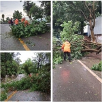 一夜连发50多条天气预警 重庆这场风雨的威力究竟有多大？ - 重庆晨网