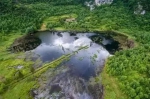 风车、乡野、院落、树林......来这里，赠你不一样的夏日清凉 - 重庆晨网