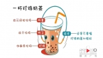 垃圾分类逼疯上海人？@重庆人 不想崩溃就戳这里 - 重庆晨网