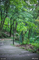 重庆最美的五条步道，体验原汁原味山城味道 - 重庆晨网