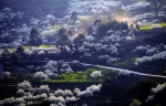 重庆这9村入选首批全国乡村旅游重点村 快来看看有没有你家乡 - 重庆晨网